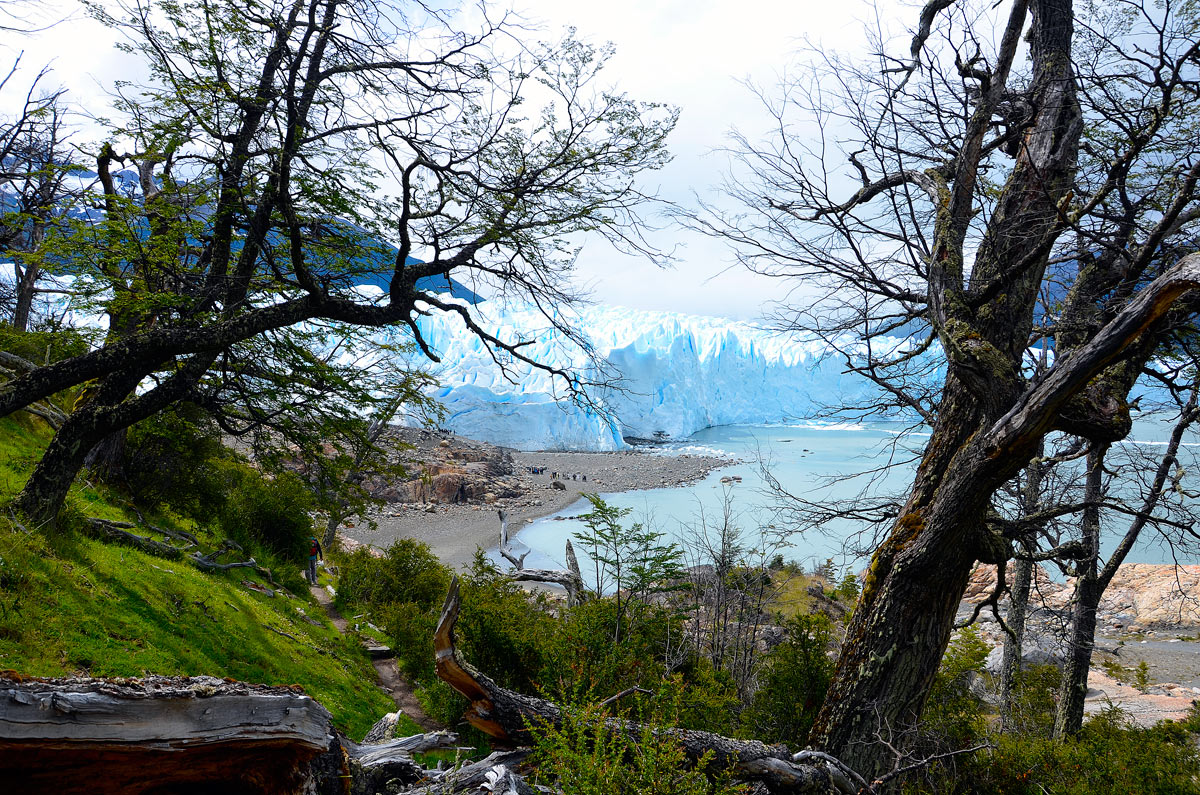 Glaciar Perito Moreno - mini trekking