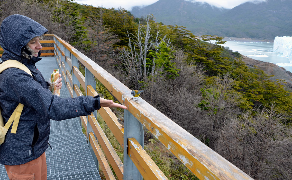Glaciar Perito Moreno - El Calafate