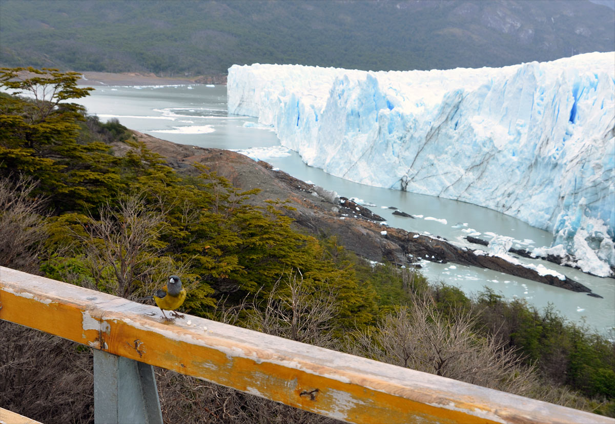 Glaciar Perito Moreno - El Calafate