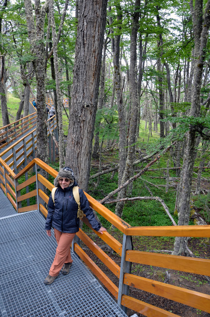 Glaciar Perito Moreno - El Calafate