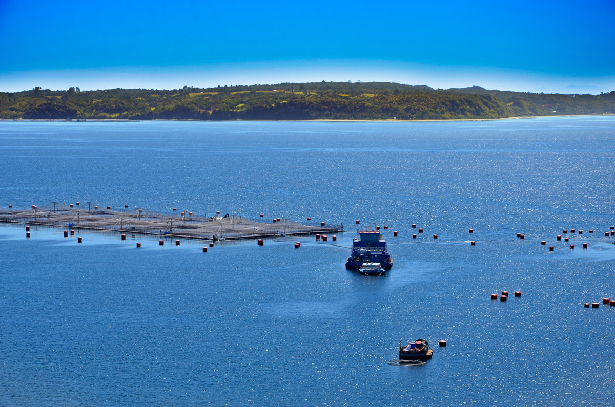 Chilo&eacute; 2016 - Isla Lemuy