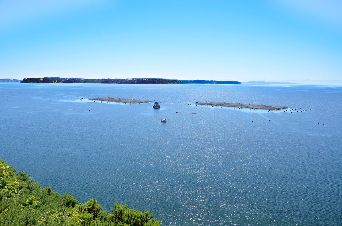 Chilo&eacute; 2016 - Isla Lemuy