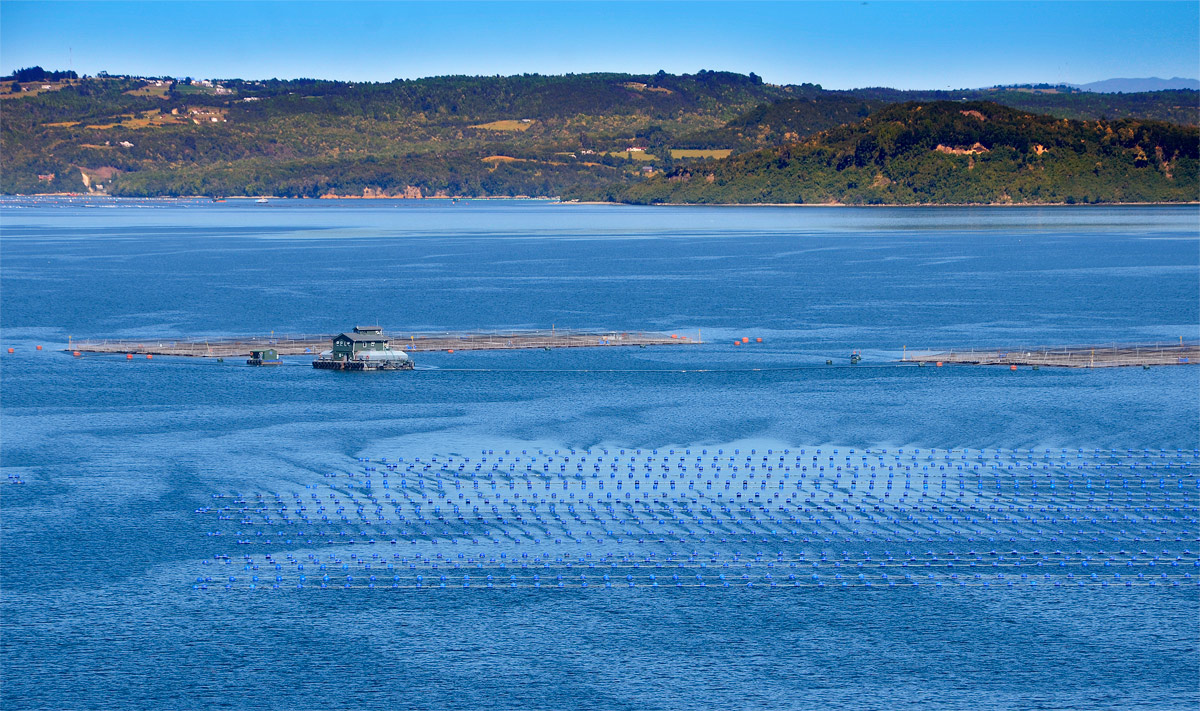 Chilo&eacute; 2016 - Isla Lemuy