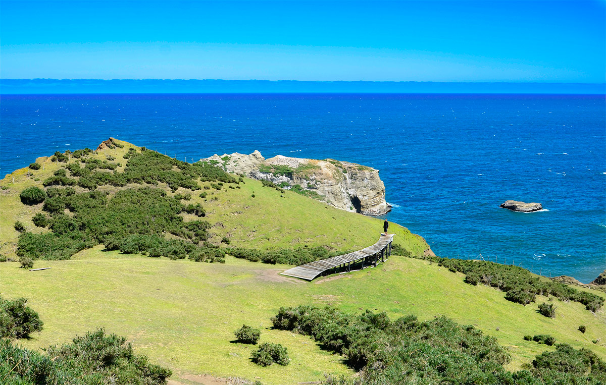Chilo&eacute; 2016 - Muelle de las almas