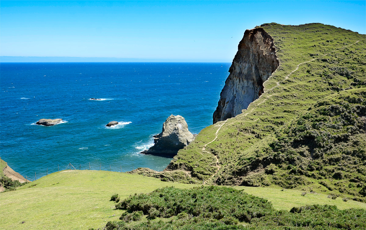 Chilo&eacute; 2016 - Muelle de las almas