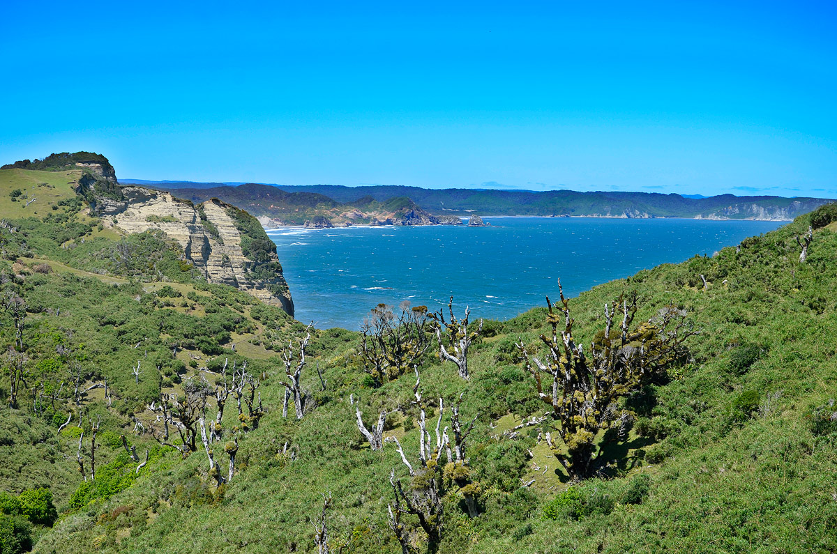 Chilo&eacute; 2016 - Muelle de las almas