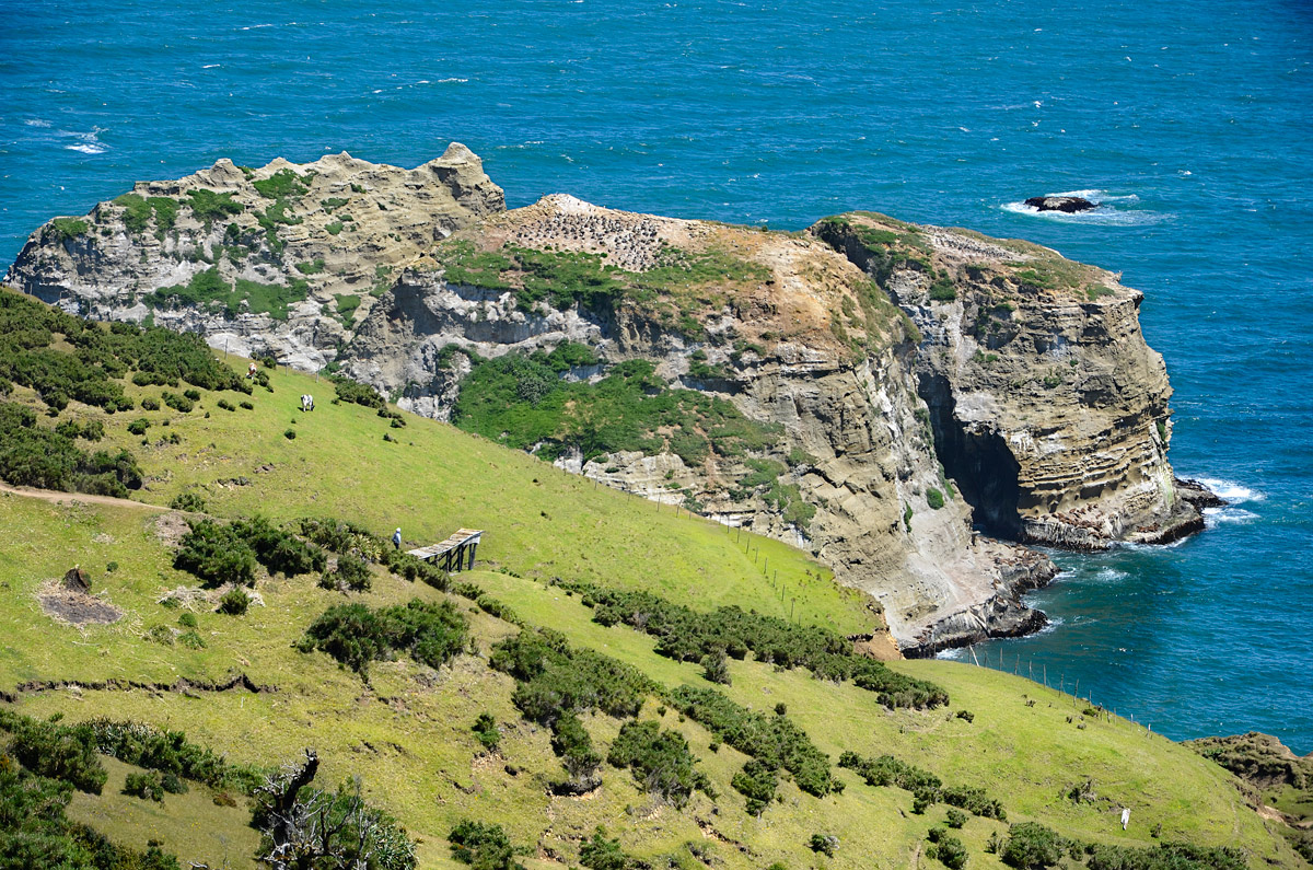 Chilo&eacute; 2016 - Muelle de las almas
