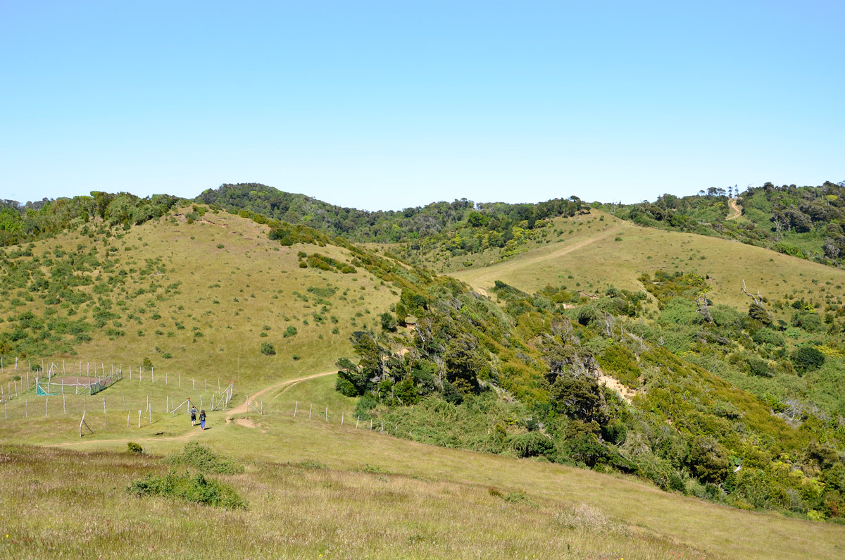 Chilo&eacute; 2016 - Muelle de las almas