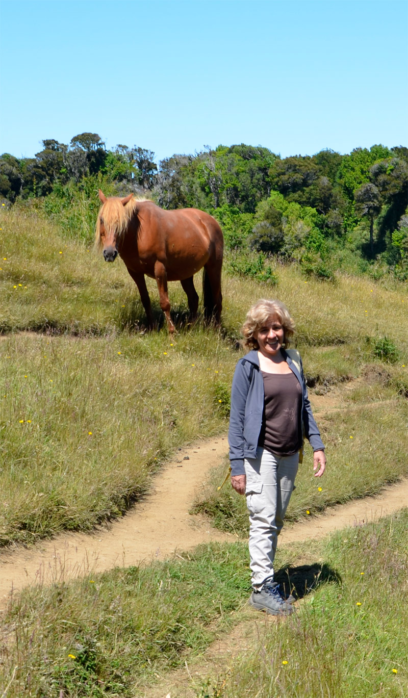 Chilo&eacute; 2016 - Muelle de las almas