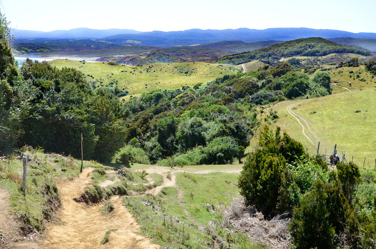 Chilo&eacute; 2016 - Muelle de las almas