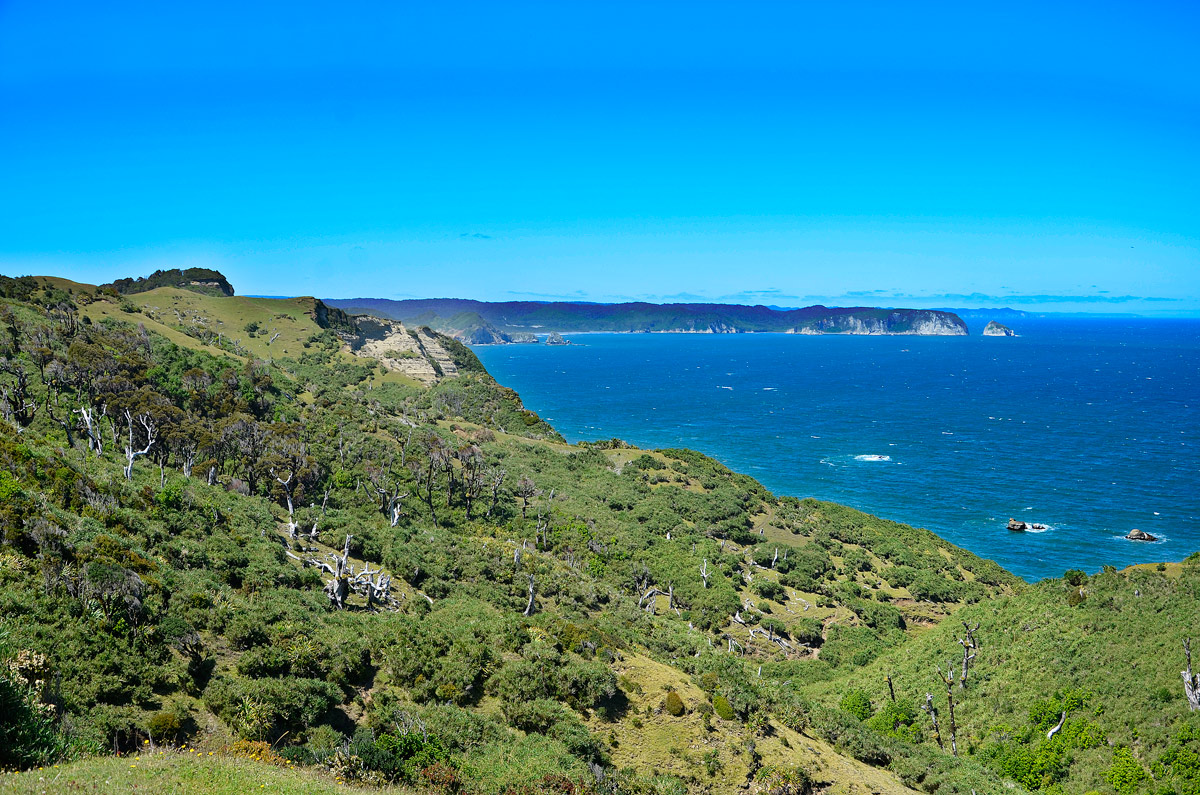 Chilo&eacute; 2016 - Muelle de las almas