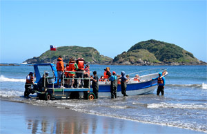 Chilo&eacute; 2016 - Punta de Punihuil - Pinguineras