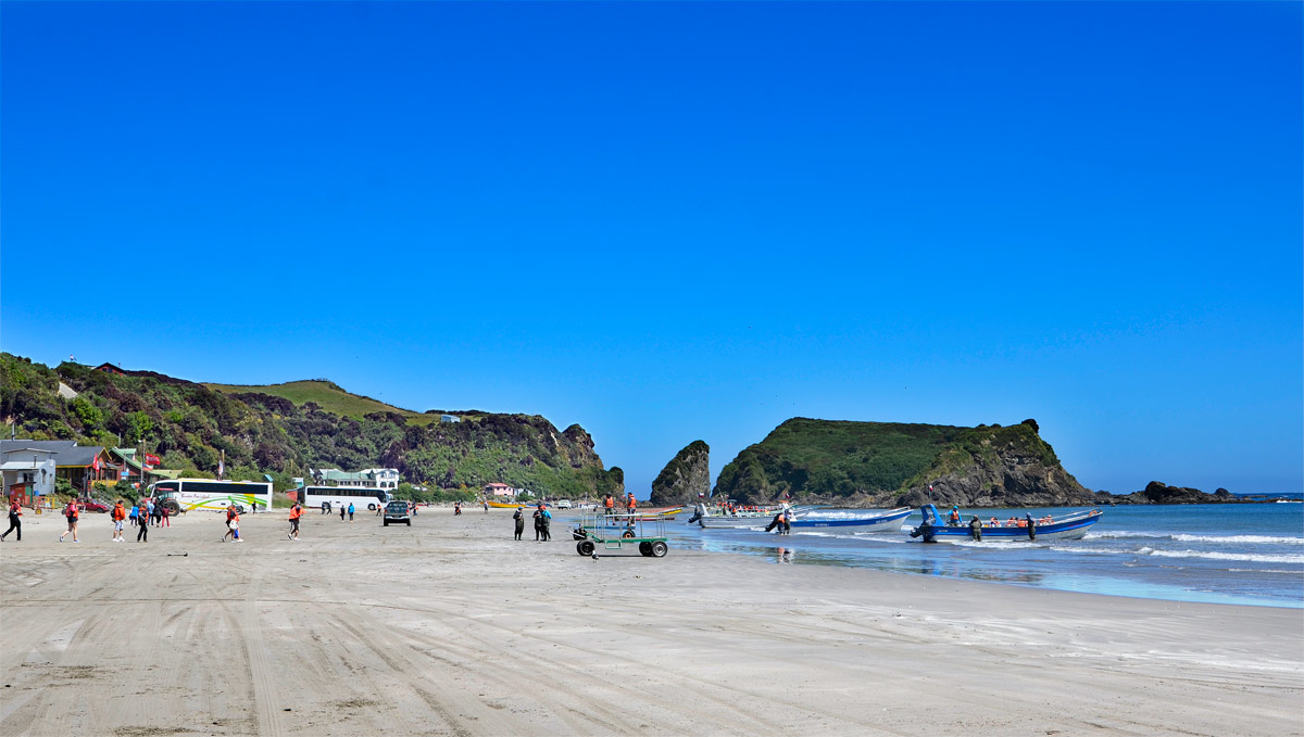 Chilo&eacute; 2016 - Punta de Punihuil - Pinguineras