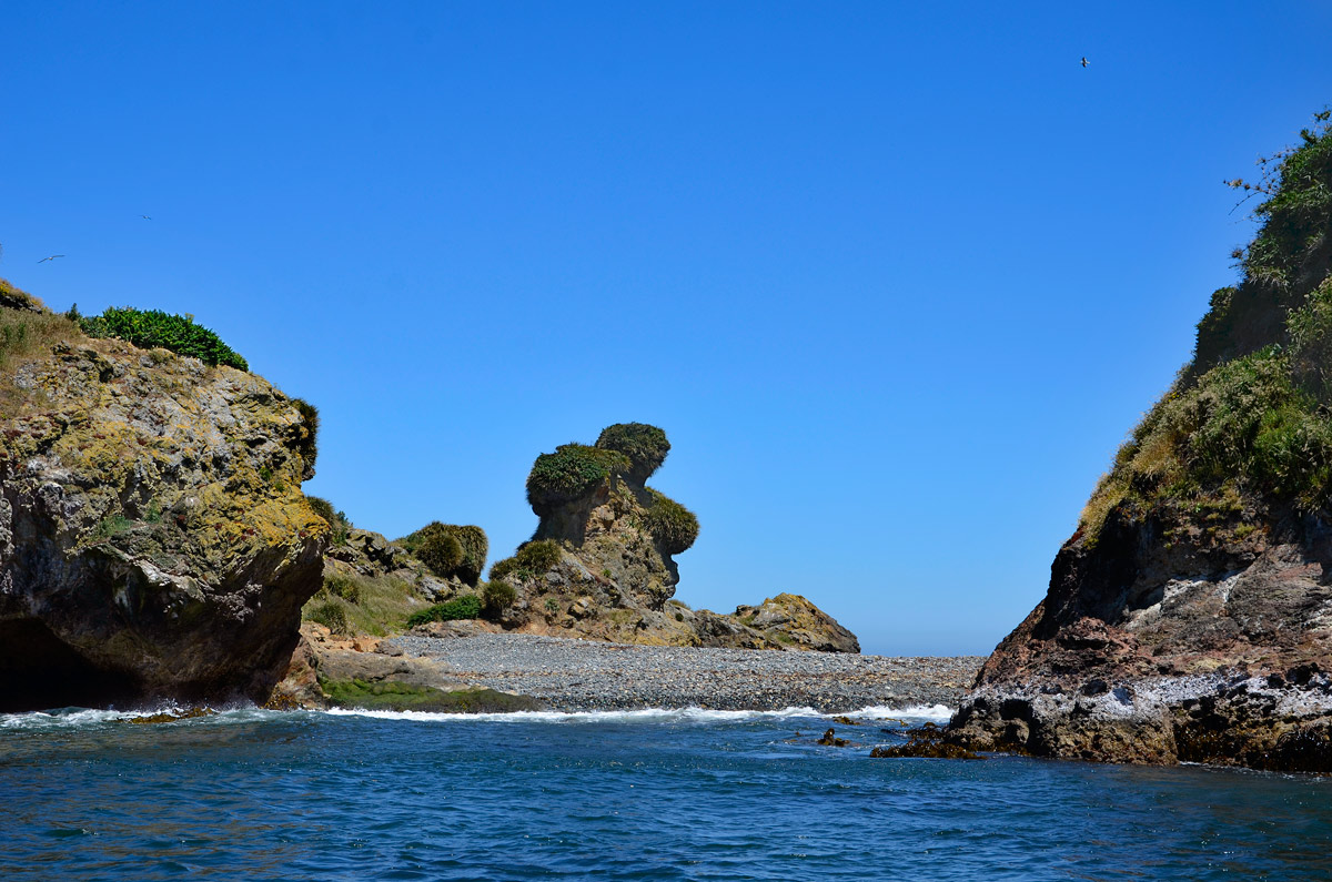 Chilo&eacute; 2016 - Punta de Punihuil - Pinguineras