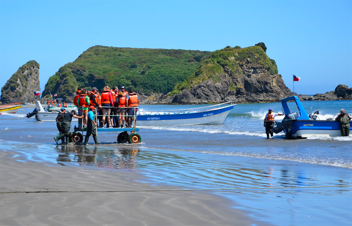 Chilo&eacute; 2016 - Punta de Punihuil - Pinguineras