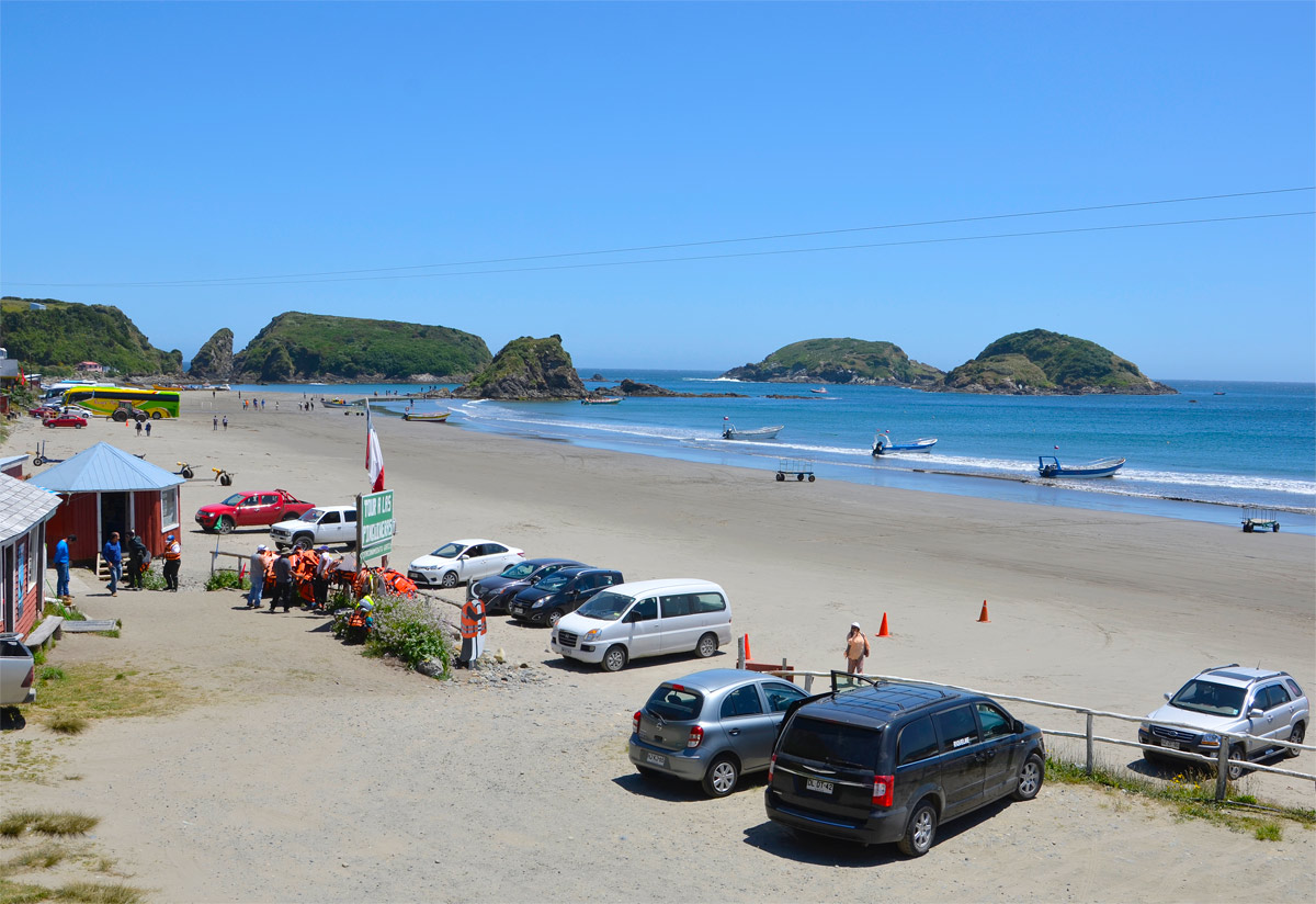 Chilo&eacute; 2016 - Punta de Punihuil - Pinguineras