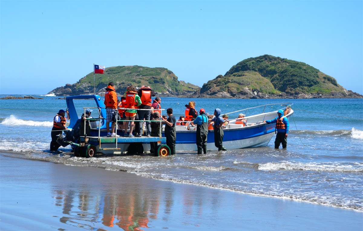 Chilo&eacute; 2016 - Punta de Punihuil - Pinguineras
