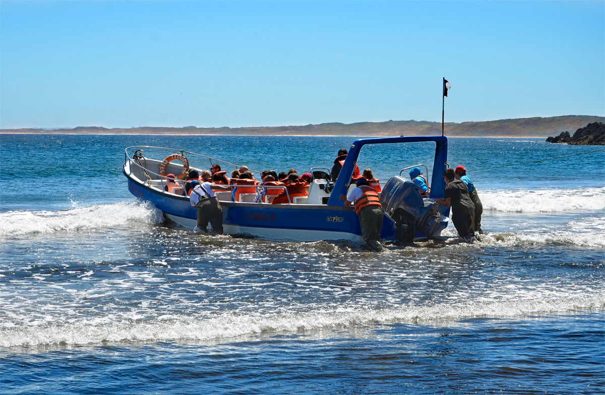 Chilo&eacute; 2016 - Punta de Punihuil - Pinguineras