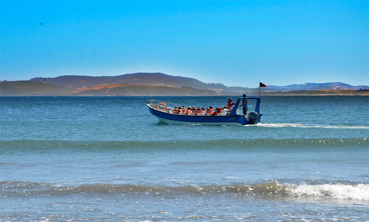 Chilo&eacute; 2016 - Punta de Punihuil - Pinguineras