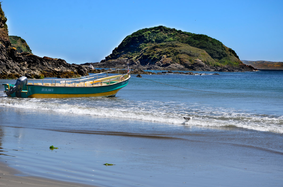 Chilo&eacute; 2016 - Punta de Punihuil - Pinguineras
