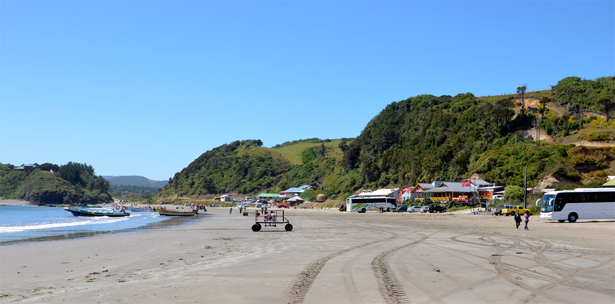 Chilo&eacute; 2016 - Punta de Punihuil - Pinguineras