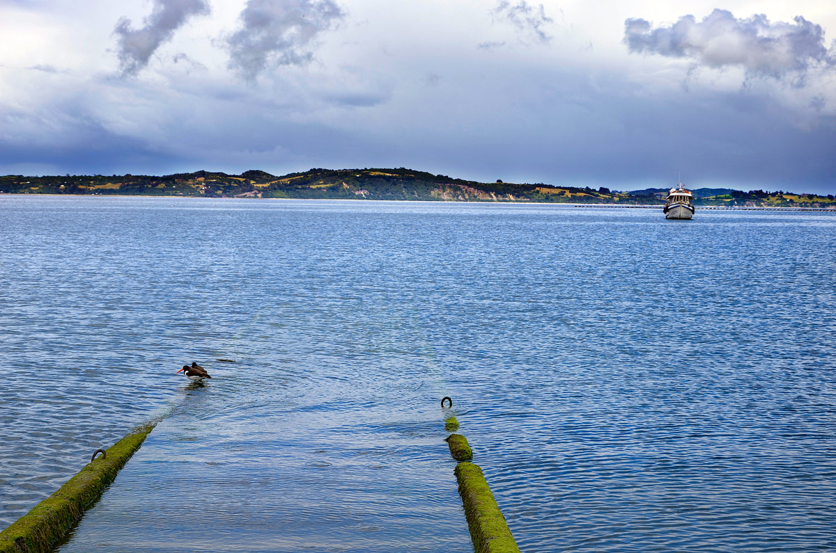 Chilo&eacute; 2016 - Quinchao