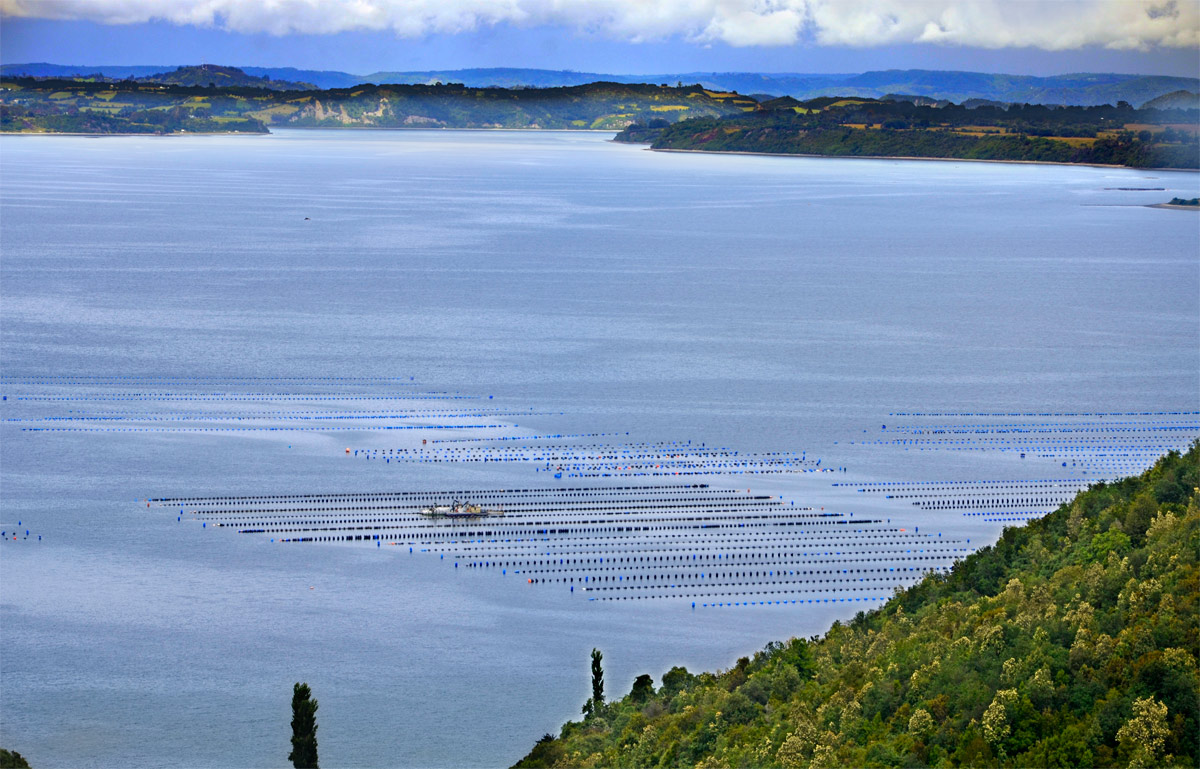 Chilo&eacute; 2016 - Quinchao