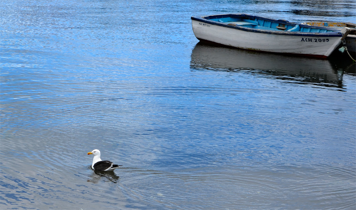 Chilo&eacute; 2016 - Quinchao