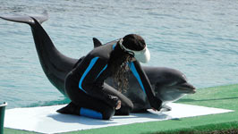 Cartagena de Indias, Bah�a de Cartagena e Islas del Rosario