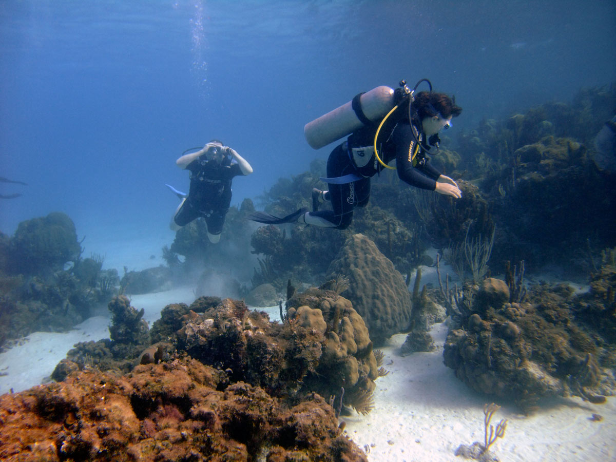 Cayo Largo, Cuba - Buceo