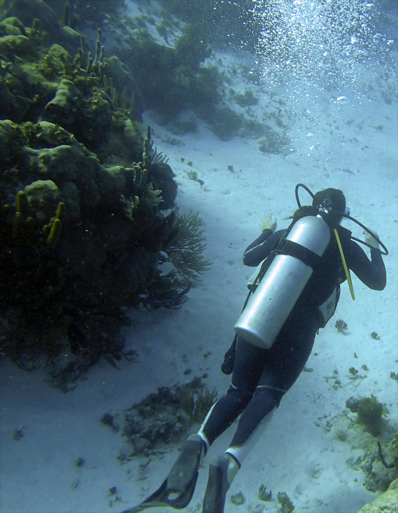 Cayo Largo, Cuba - Buceo
