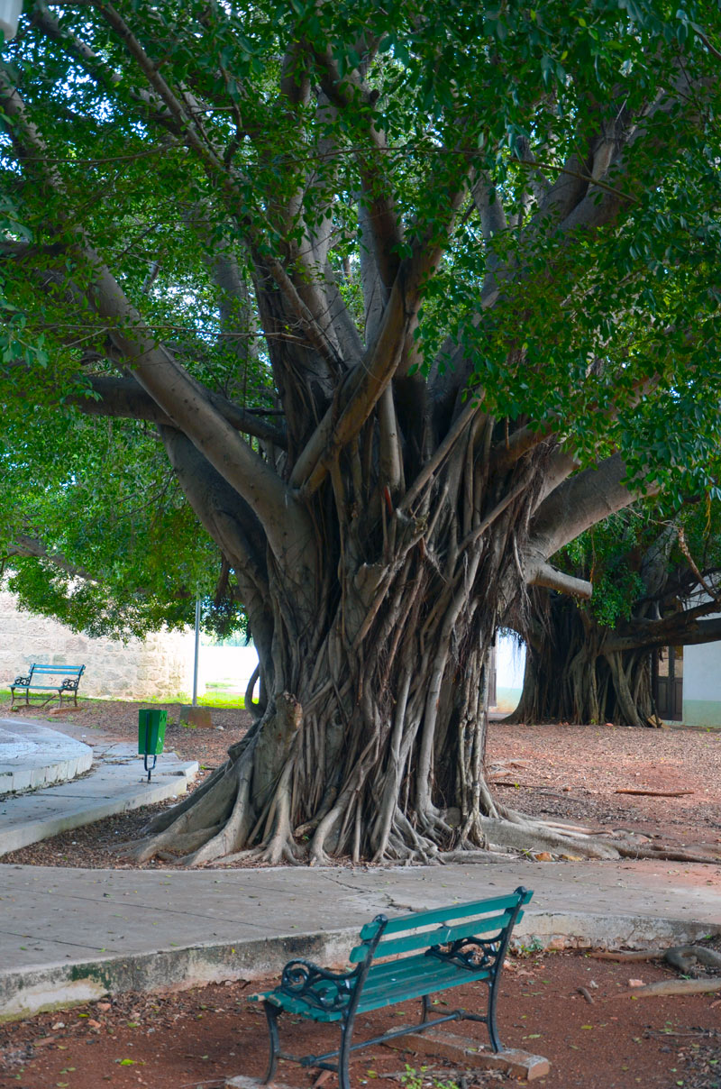 Cuba, La Habana - Fortaleza de San Carlos de la Caba&ntilde;a
