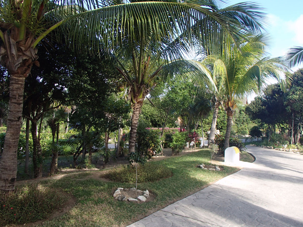 Cuba, Cayo Santa Mar&iacute;a - Hotel Las Dunas