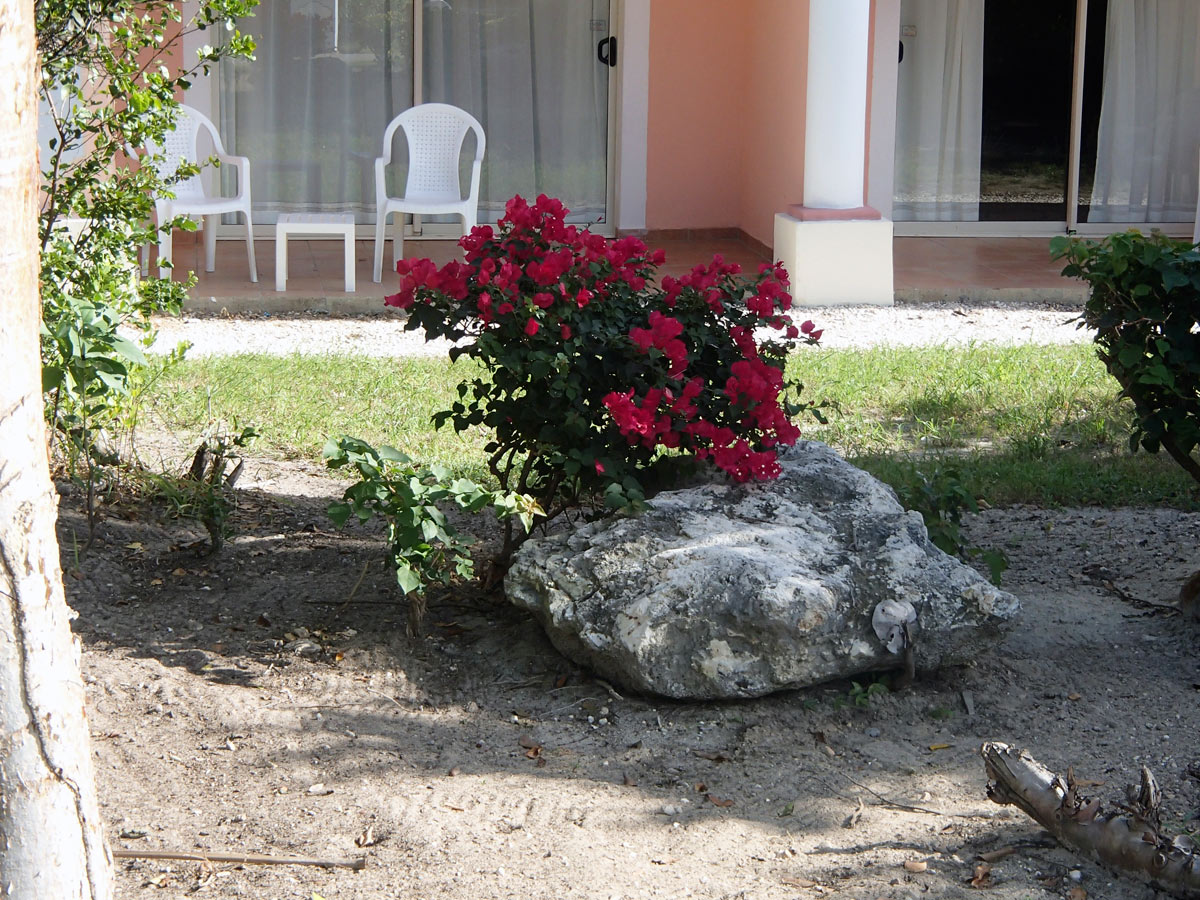 Cuba, Cayo Santa Mar&iacute;a - Hotel Las Dunas