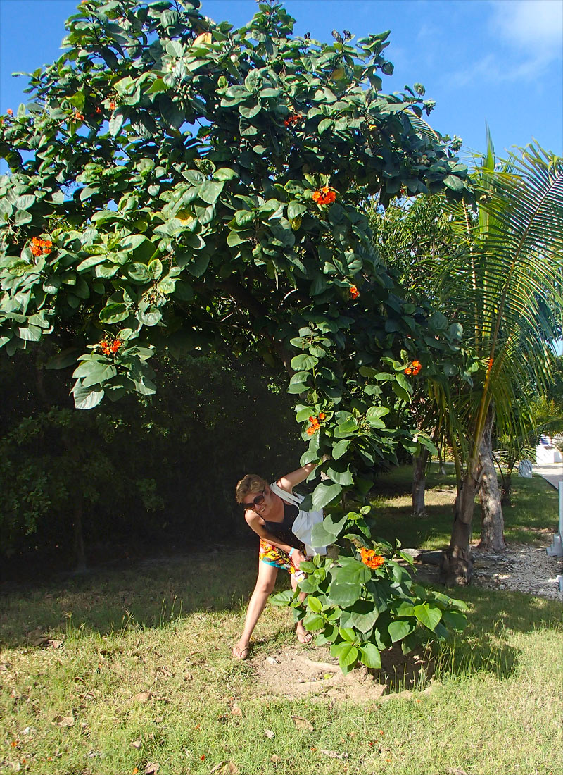 Cuba, Cayo Santa Mar&iacute;a - Hotel Las Dunas