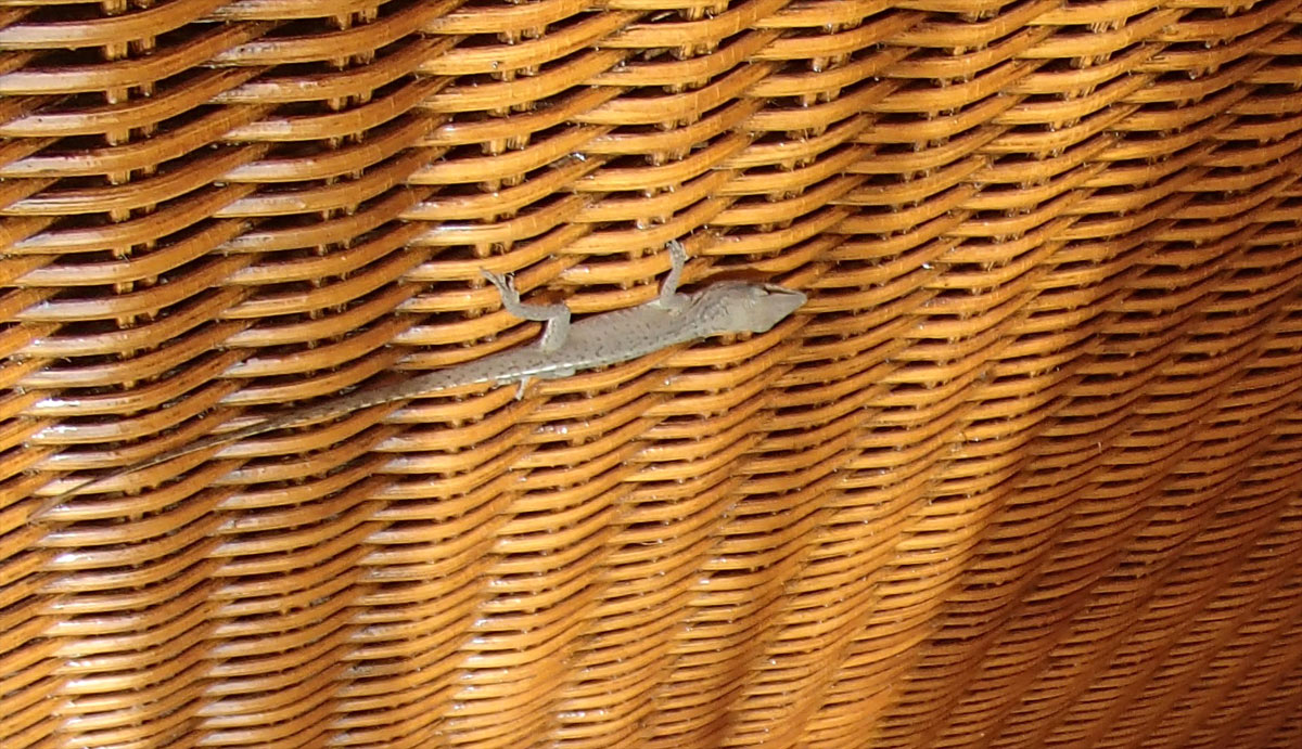 Cuba, Cayo Largo - Sol Cayo Largo