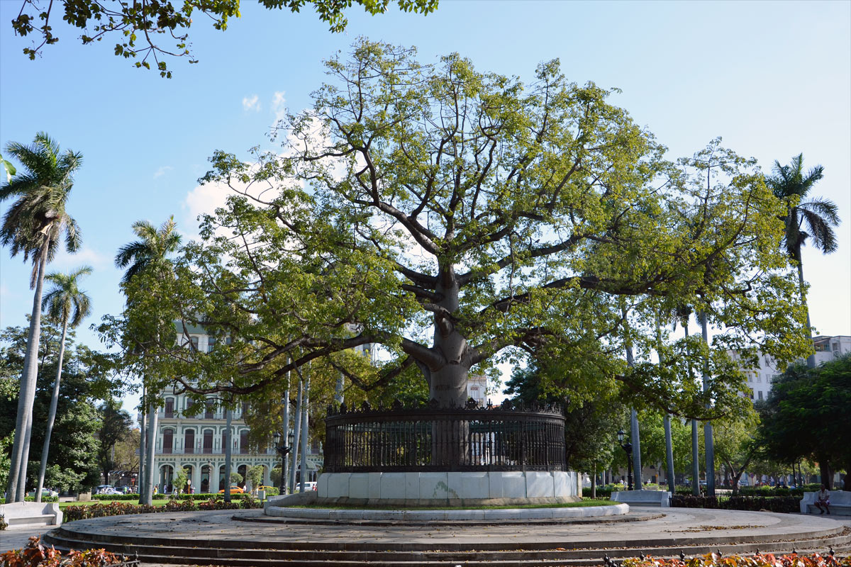 Cuba, La Habana - Ciudad Vieja