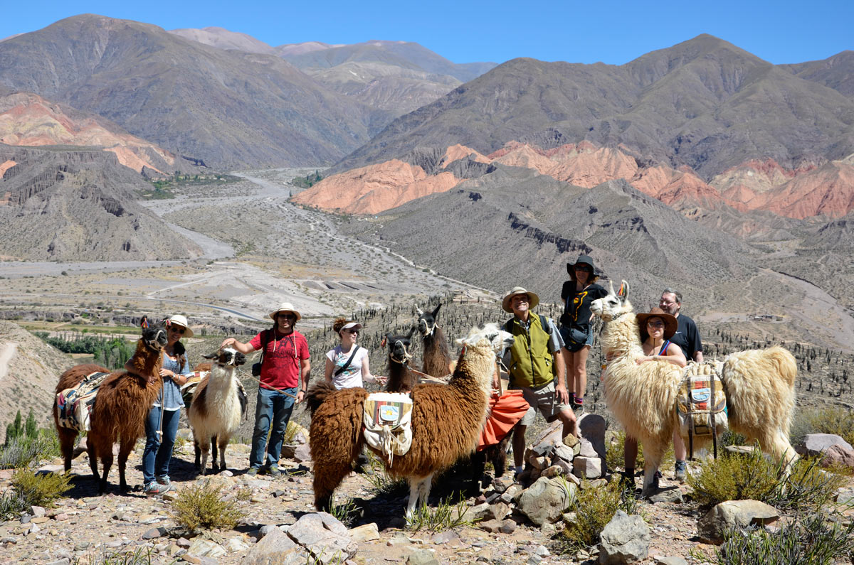 Tilcara, Caravana de Llamas