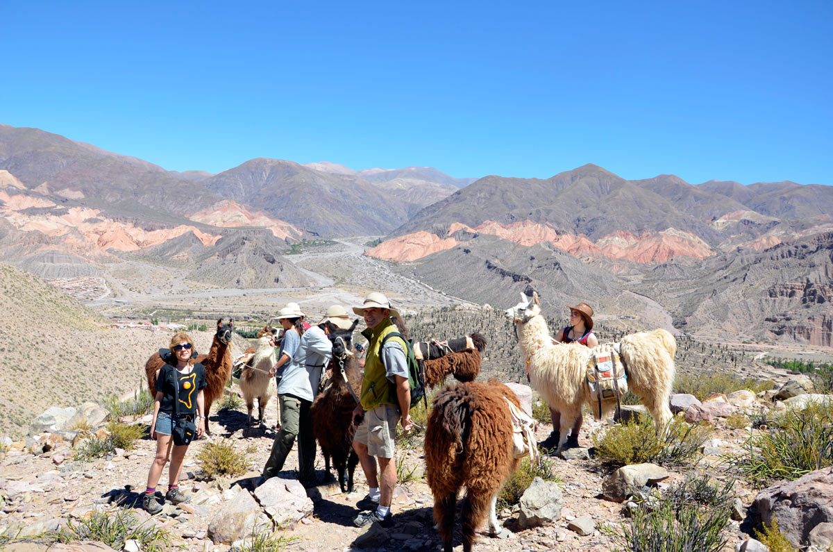Tilcara, Caravana de Llamas