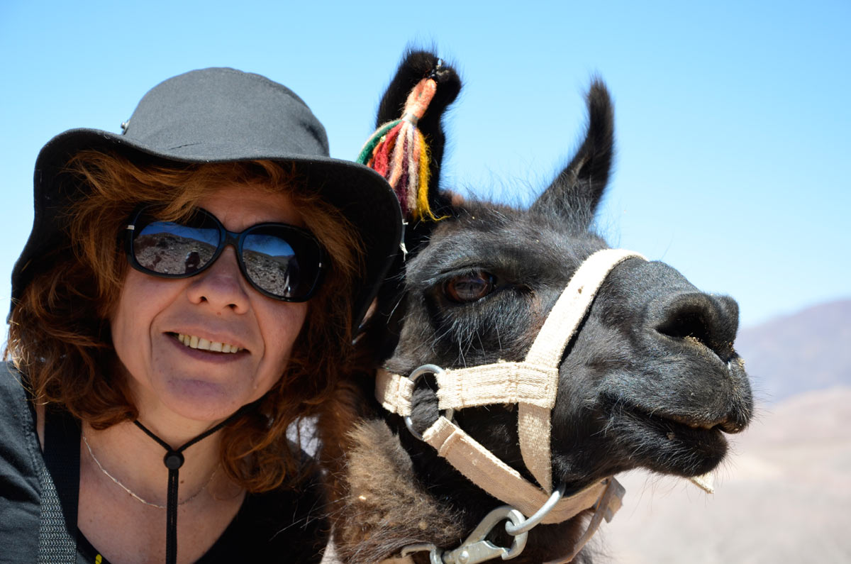 Tilcara, Caravana de Llamas