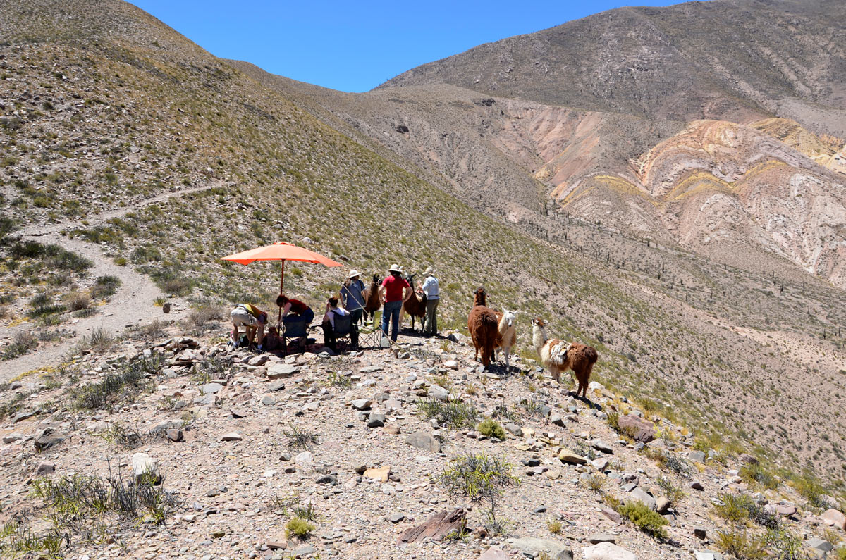 Tilcara, Caravana de Llamas