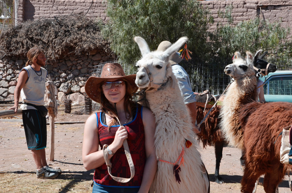 Tilcara, Caravana de Llamas