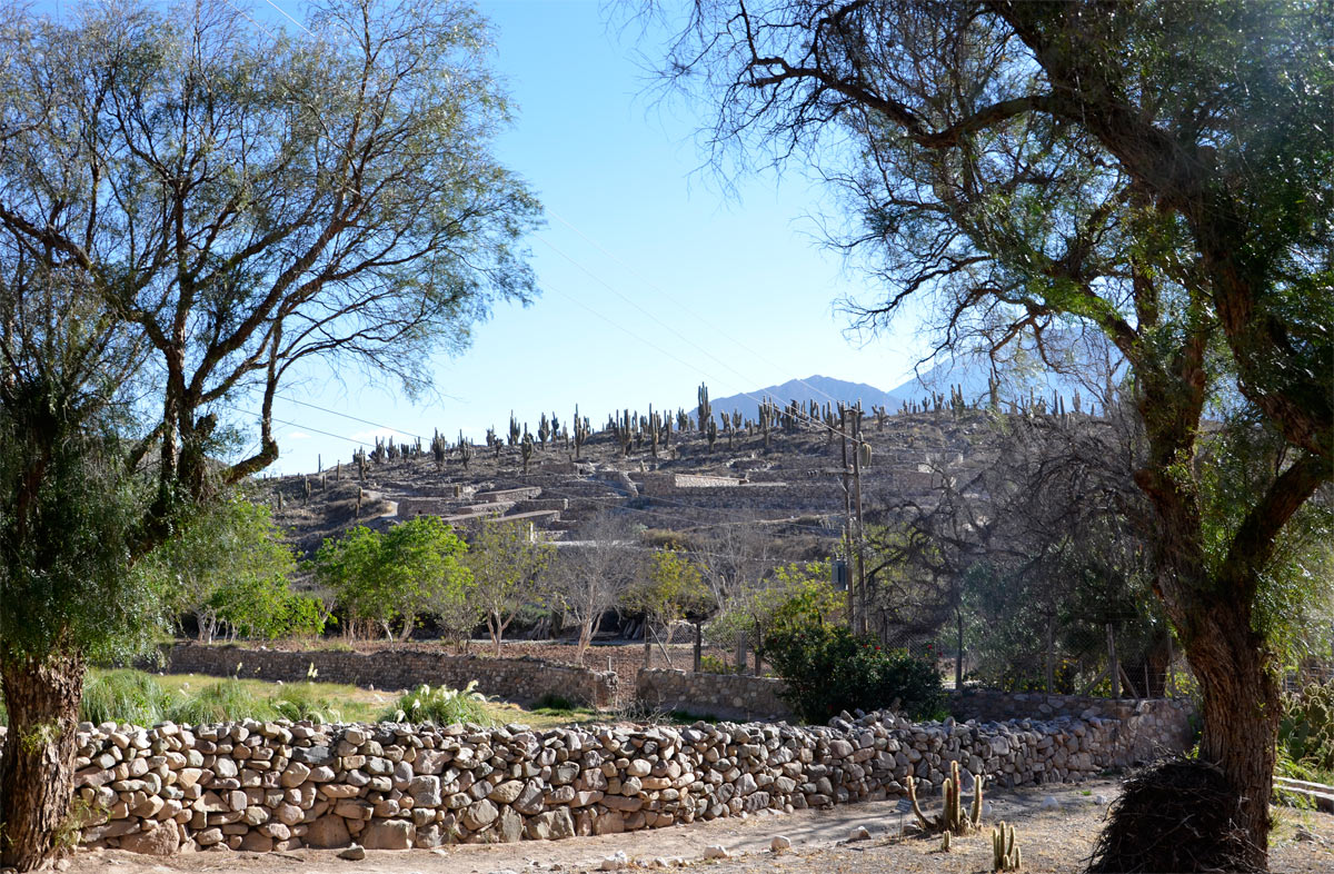 Pucar&aacute; de Tilcara