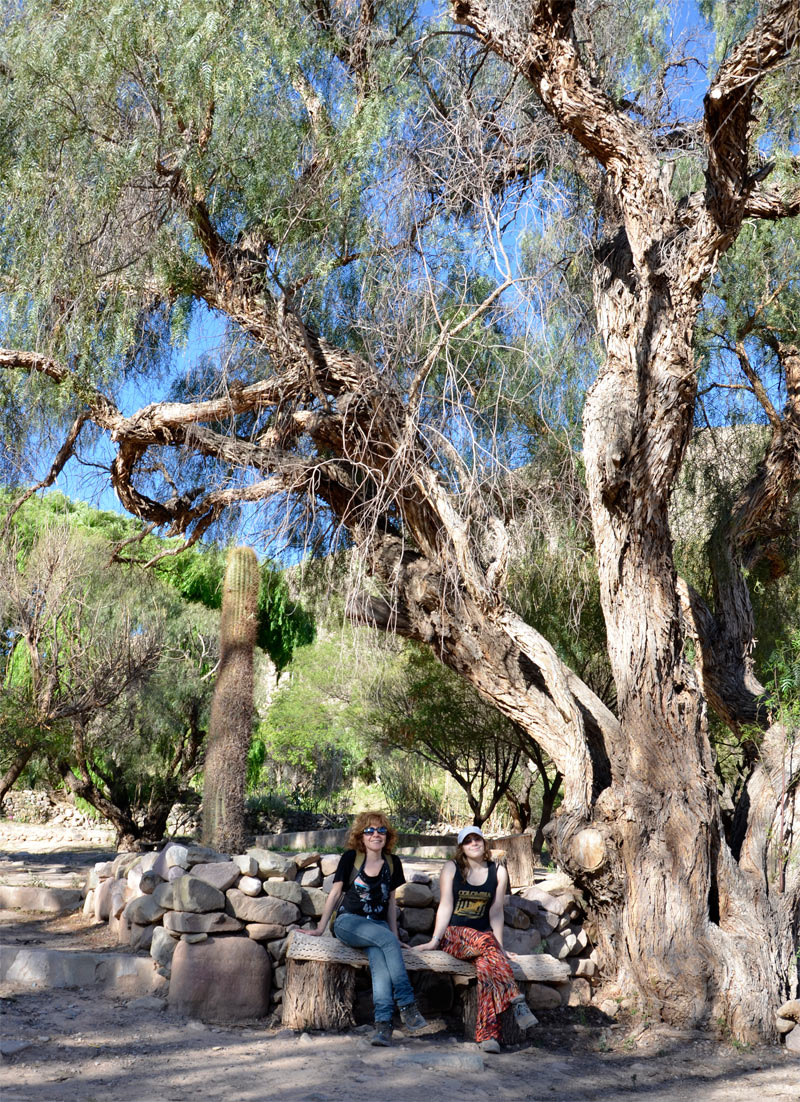 Pucar&aacute; de Tilcara