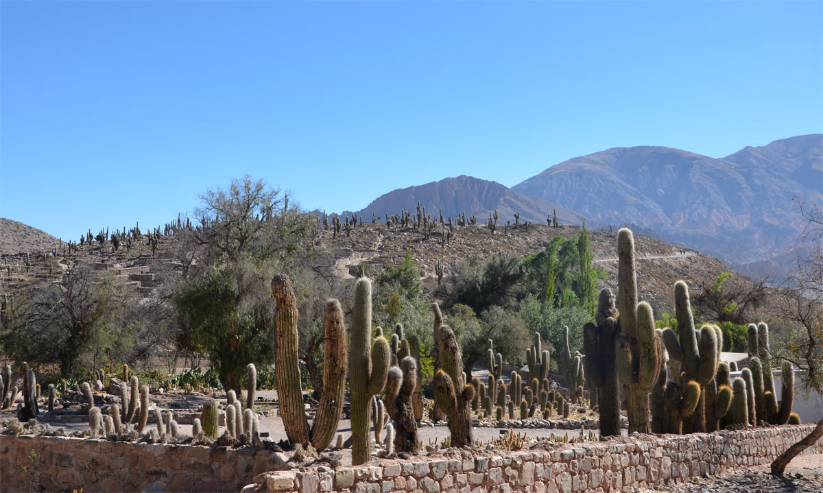 Pucar&aacute; de Tilcara