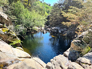 Chilo&eacute; 2016 - Punta de Punihuil - Pinguineras