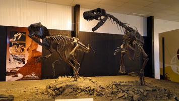 Parque Ischigualasto (Valle de la luna) - Centro de interpretaci�n