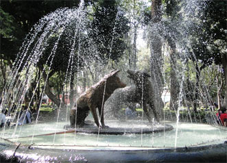 Coyoacan, M�xico DF