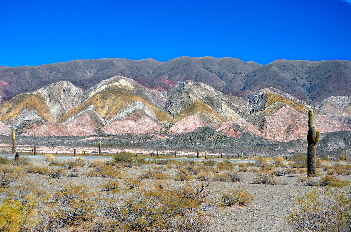 Parque Nacional de los Cardones