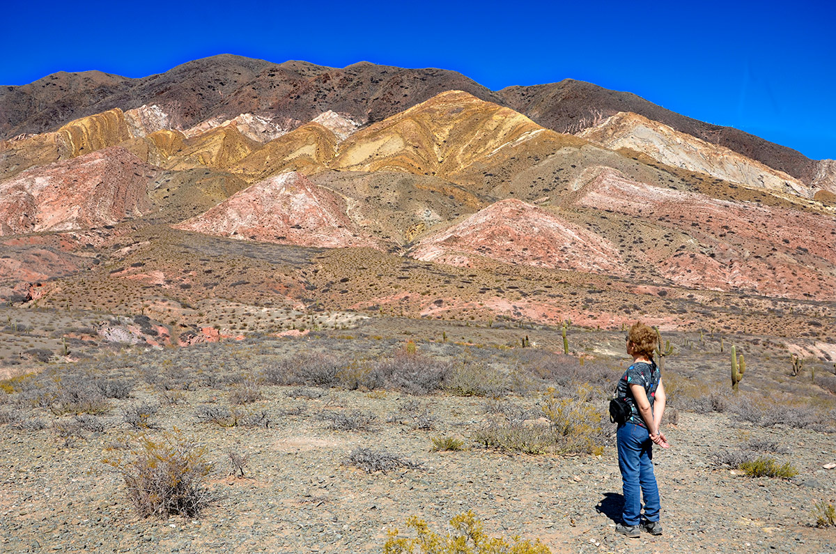 Parque Nacional de los Cardones